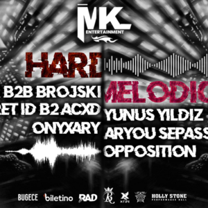 HARD MELODIC EVENT HOLLY STONE ON 30 NOVEMBER